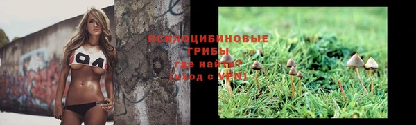 spice Армянск