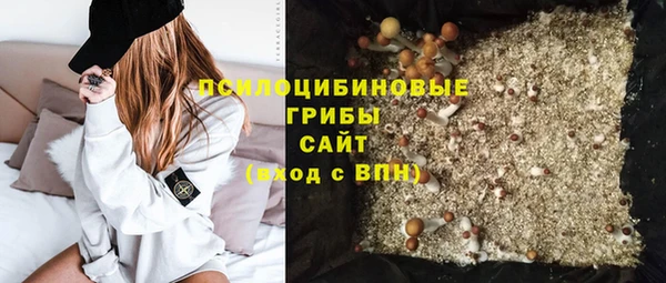 стафф Арсеньев