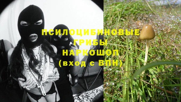 spice Армянск