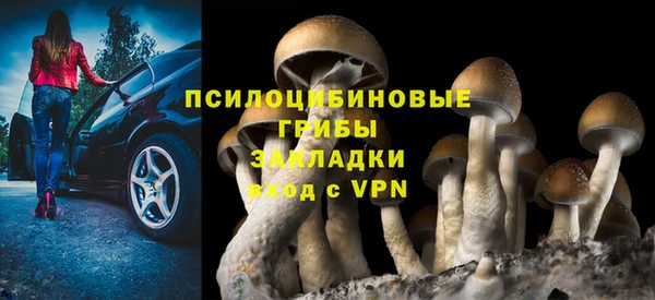 стафф Арсеньев