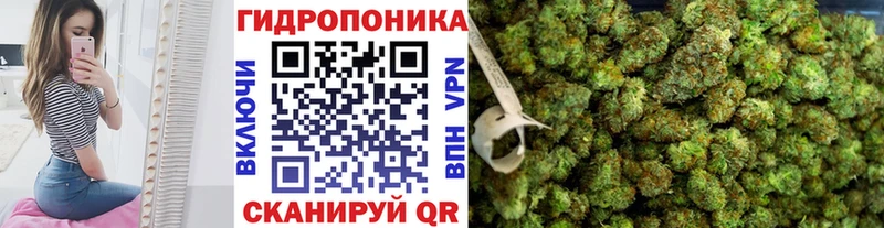 закладки  Гвардейск  Бошки Шишки SATIVA & INDICA 